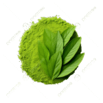 green matcha leaf
